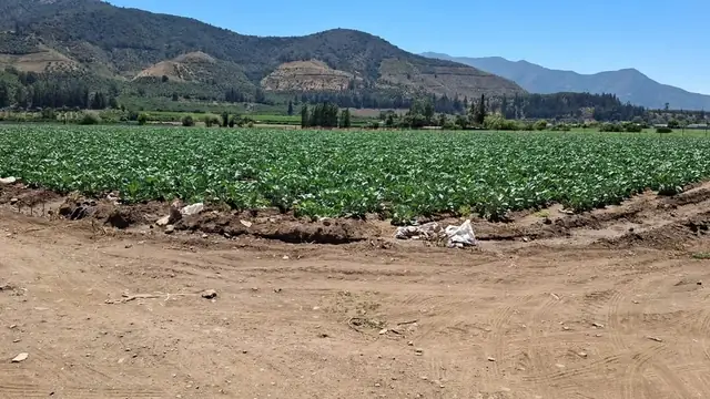Parcelas en Romeral