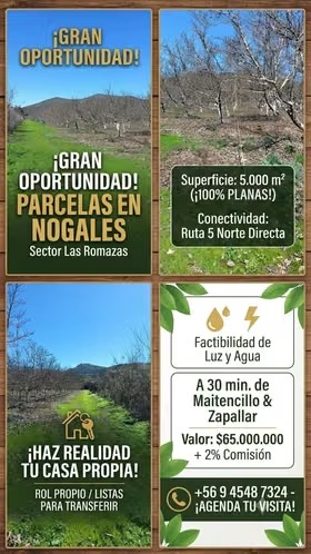 Parcelas en Las Romazas, Nogales